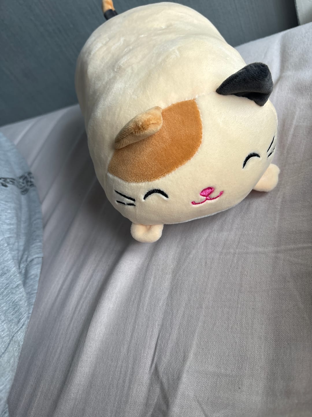 Customer photo review of Animal Pillow Plushie
