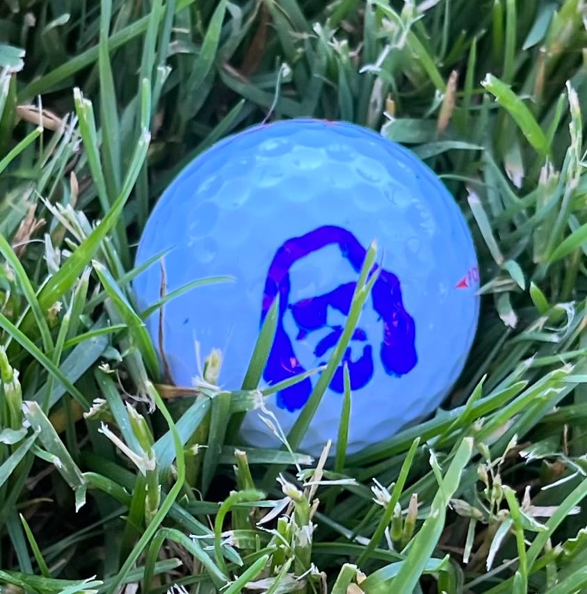 Customer photo review of Dude