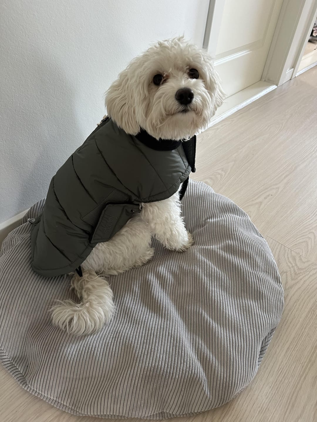 Customer photo review of Staey - Nora Hundefrakke, Moss Green