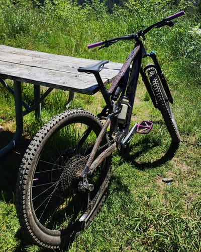 Customer photo review of Pedalhead - Tom Bunney Artist Series Frame Keeper