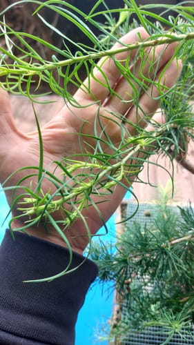 Customer photo review of TOTAL FORCE CB® X4