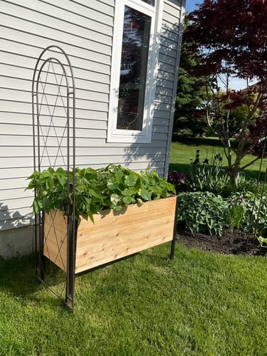 Customer photo review of 18" x 48" Raised Garden Bed