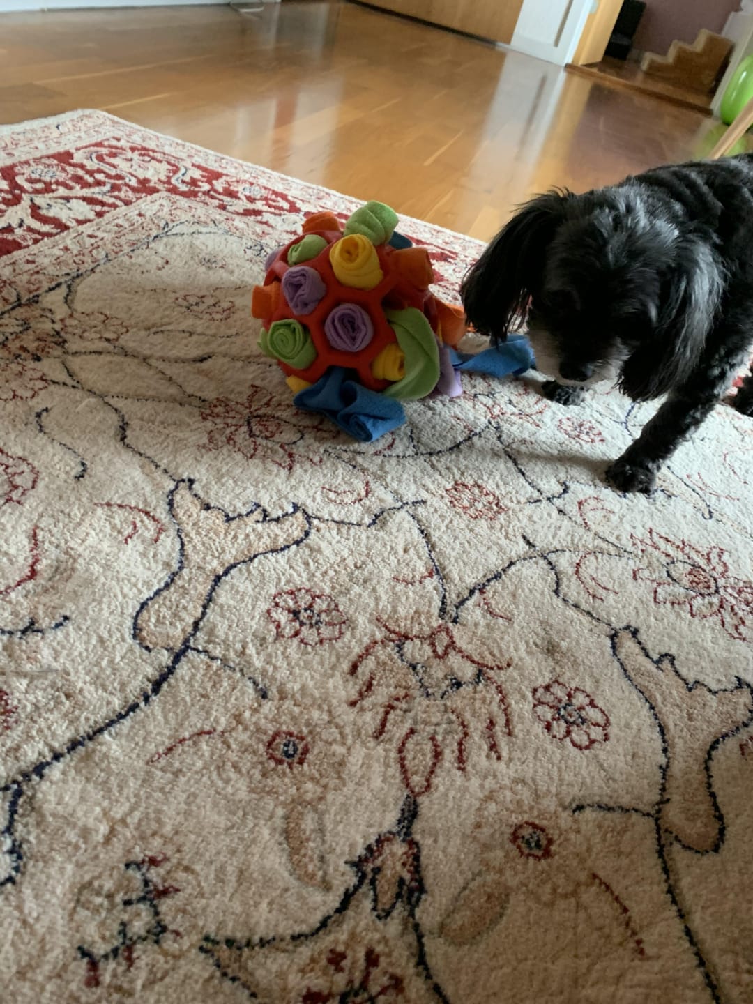 Customer photo review of SnufFiesta: Den Ultimative Snusebold