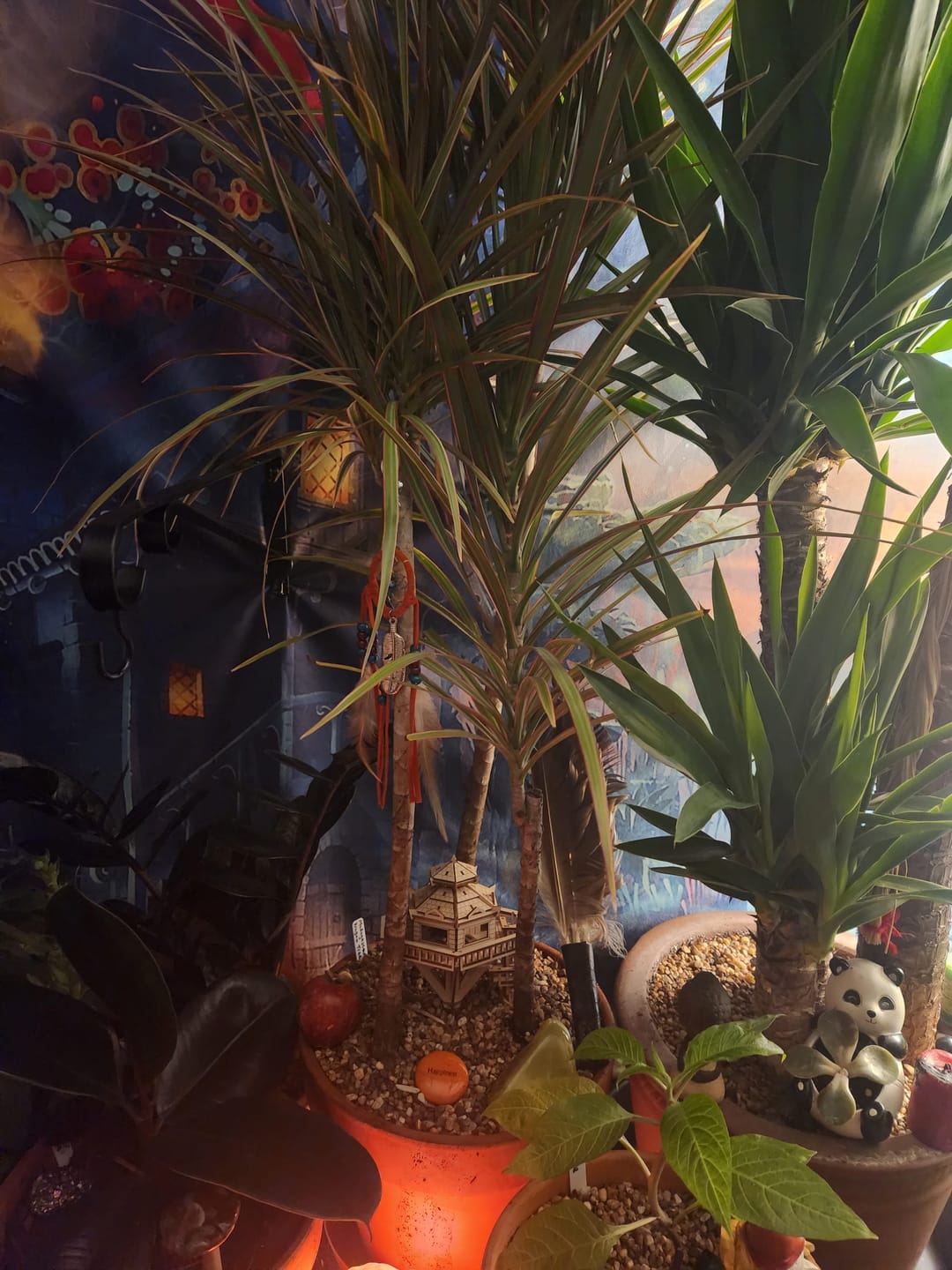 Customer photo review of Woodland Outpost