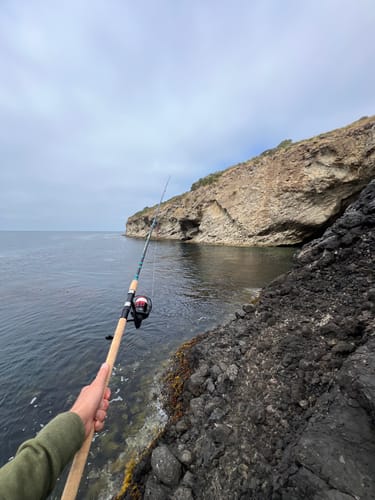 Customer photo review of 9'4" No Excuses Surf Travel Rod with Tube Medium-Heavy Action 3/4oz to 3oz