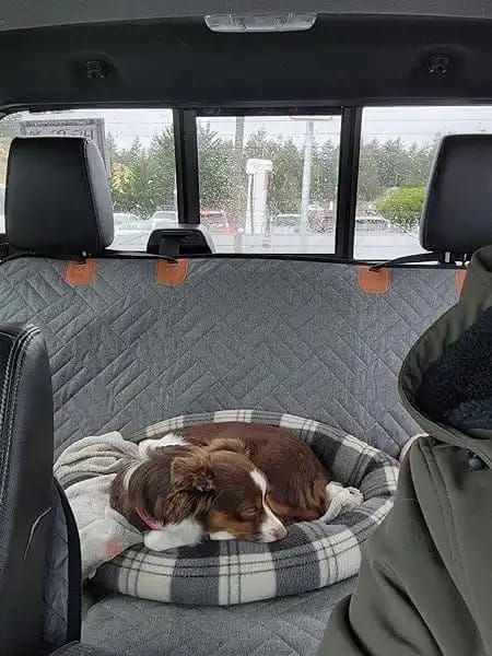 Customer photo review of Car Seat Cover with Hard Bottom