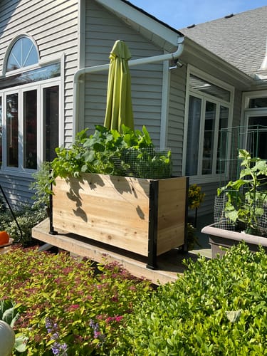 Customer photo review of 18" x 48" Planter Box - 24" Tall
