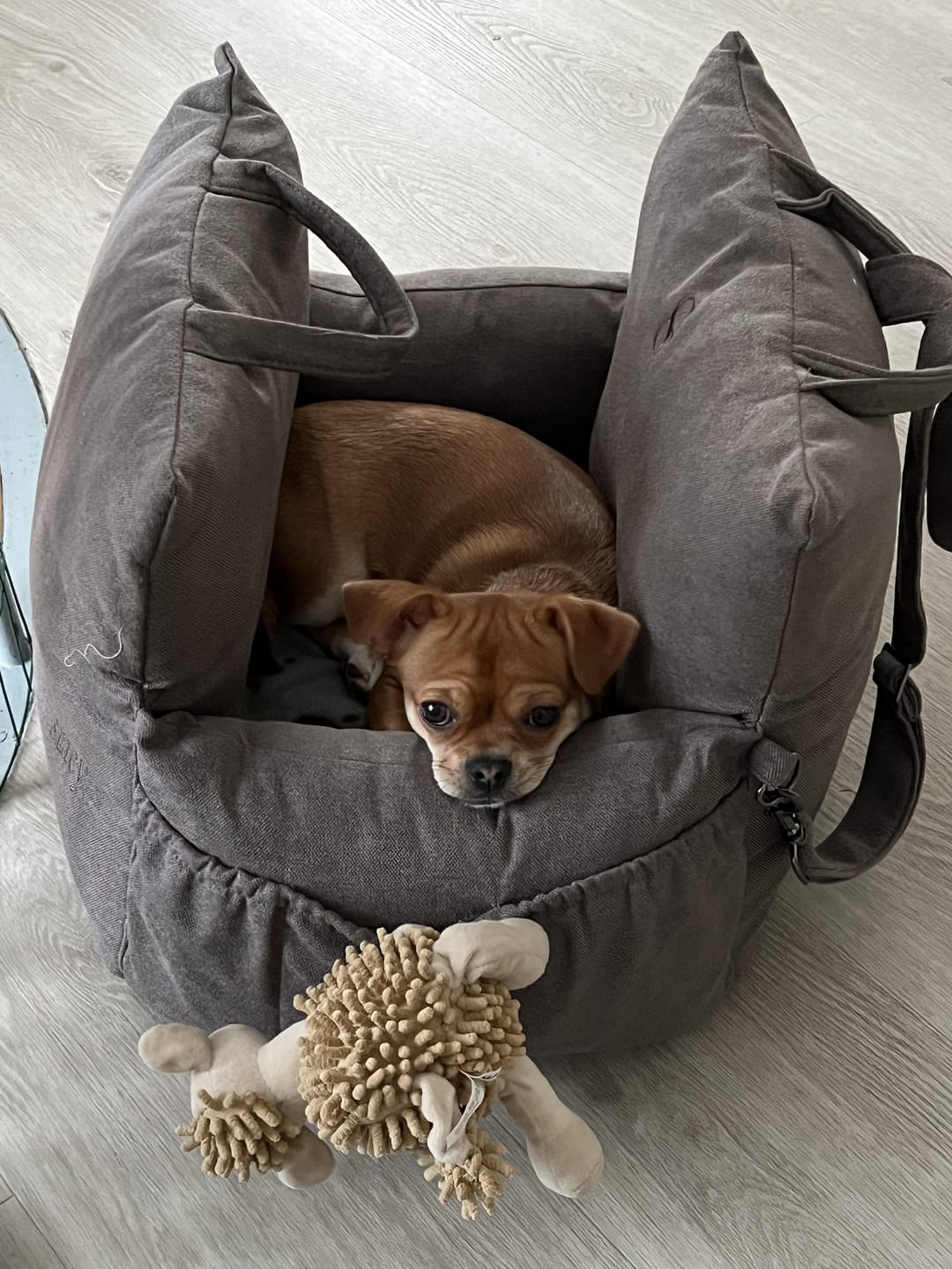 Customer photo review of Staey - Lara 3-i-1 Bilsæde, Taupe