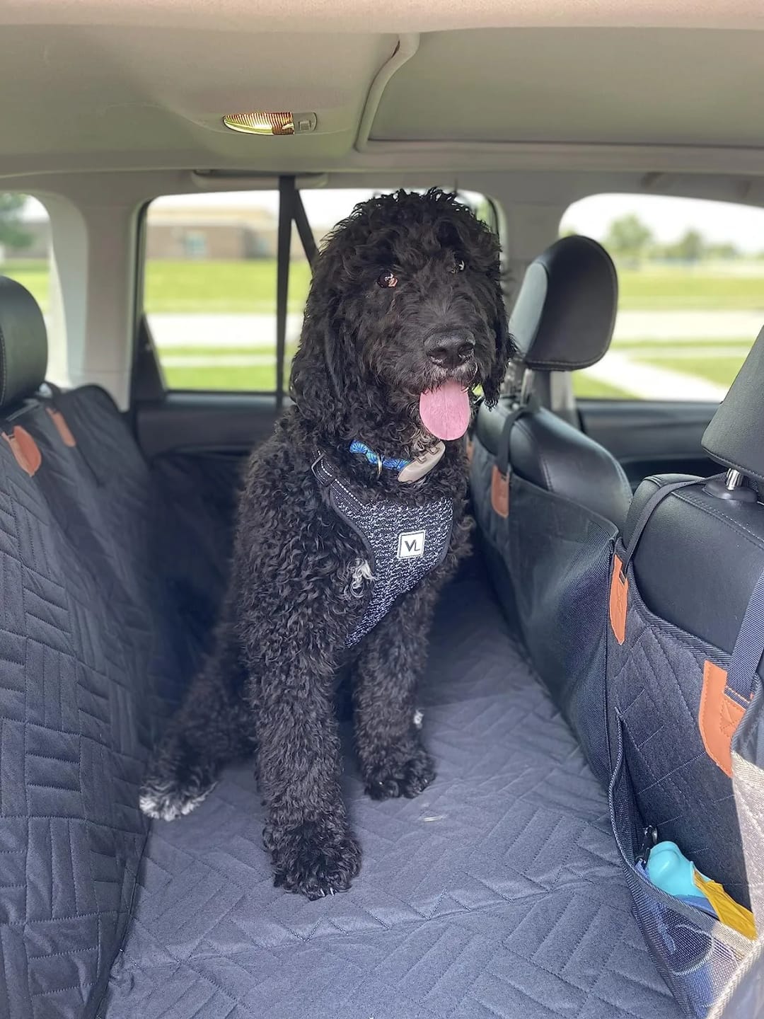 Customer photo review of Car Seat Cover with Hard Bottom