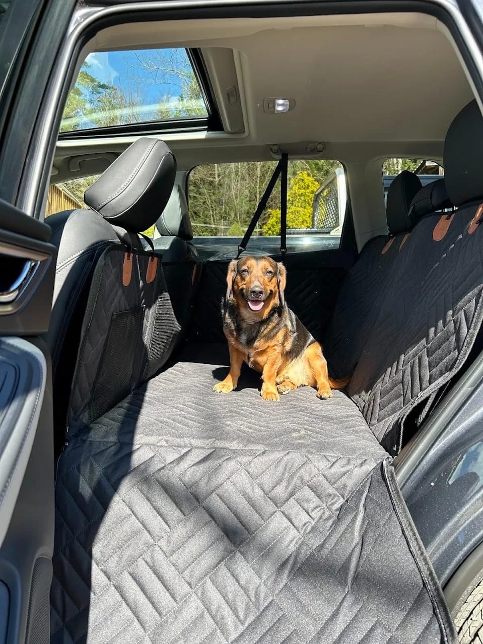Customer photo review of Car Seat Cover with Hard Bottom