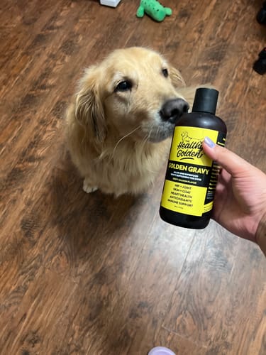 Customer photo review of Golden Gravy
