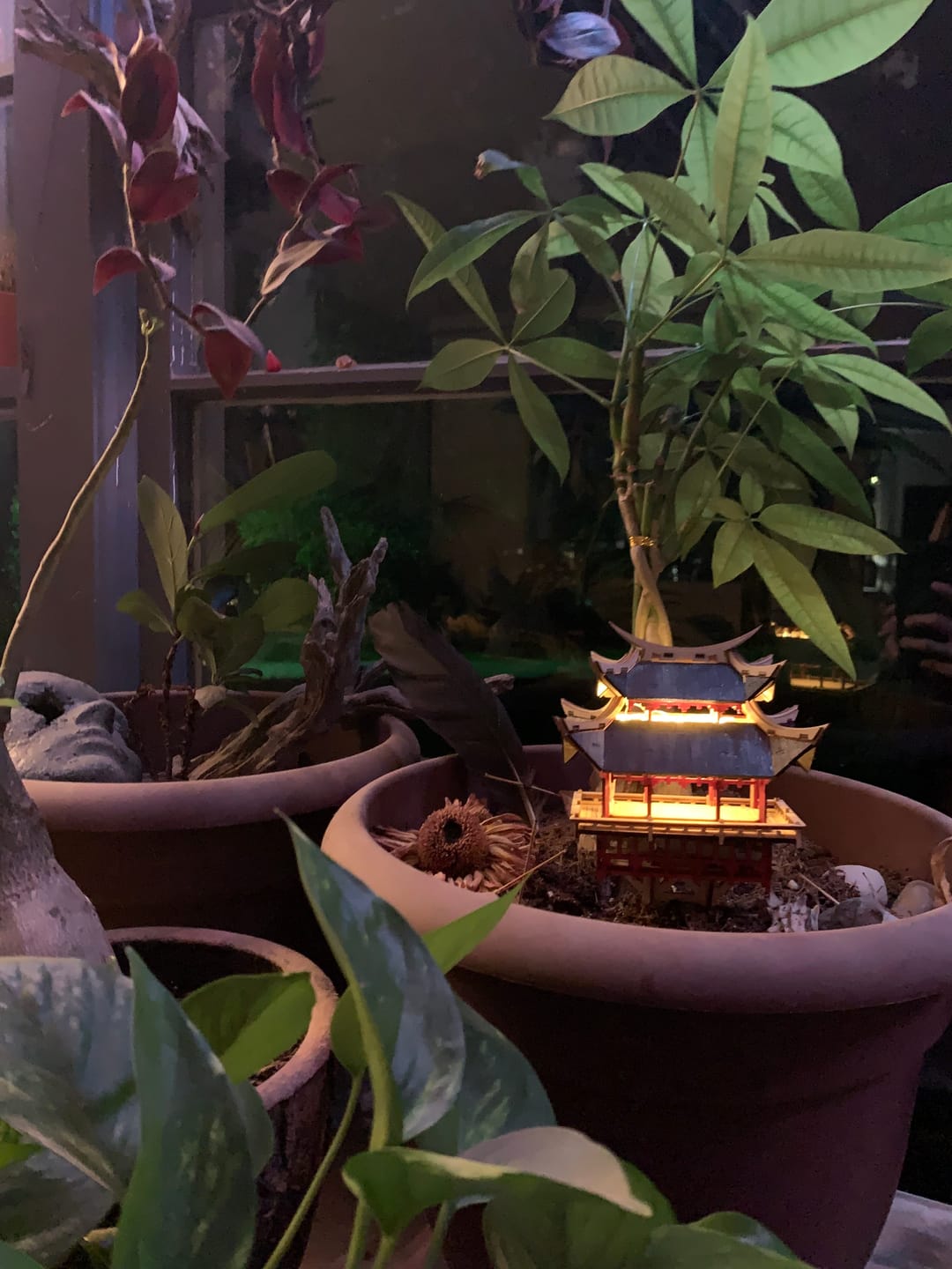 Customer photo review of Temple of Gratitude