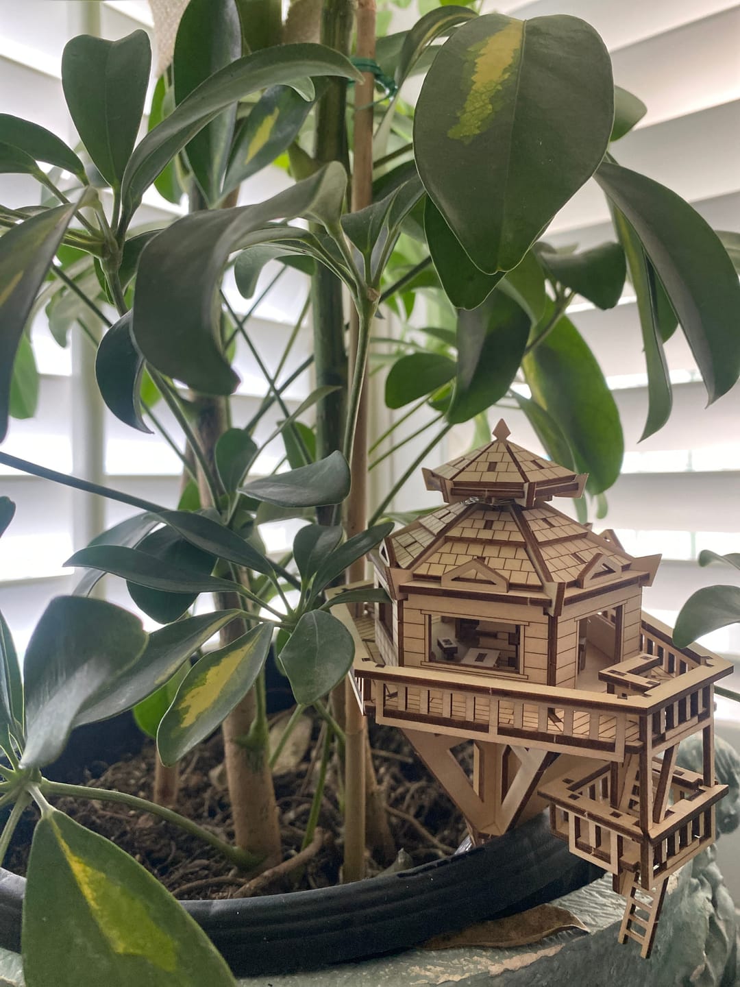 Customer photo review of Woodland Outpost