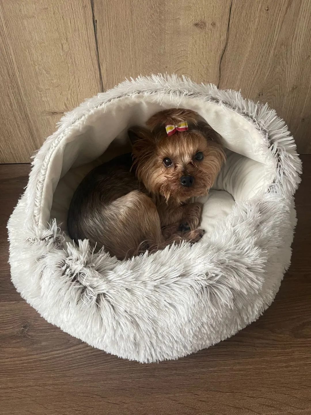 Customer photo review of Shell Bed