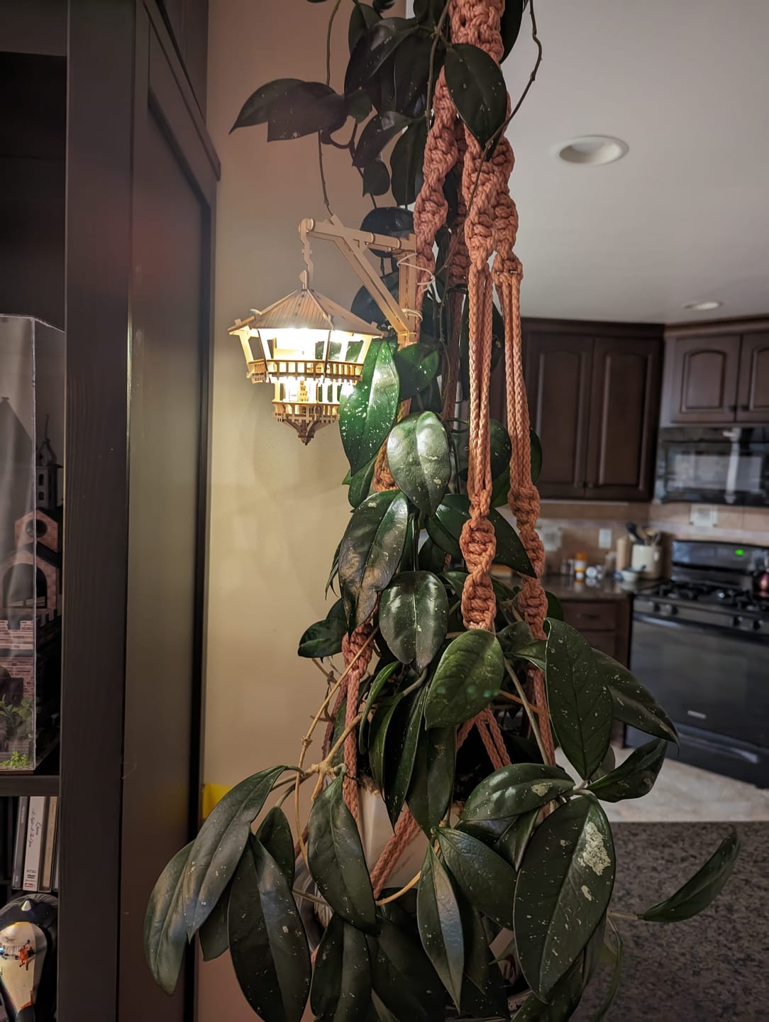 Customer photo review of Treetop Hideaway