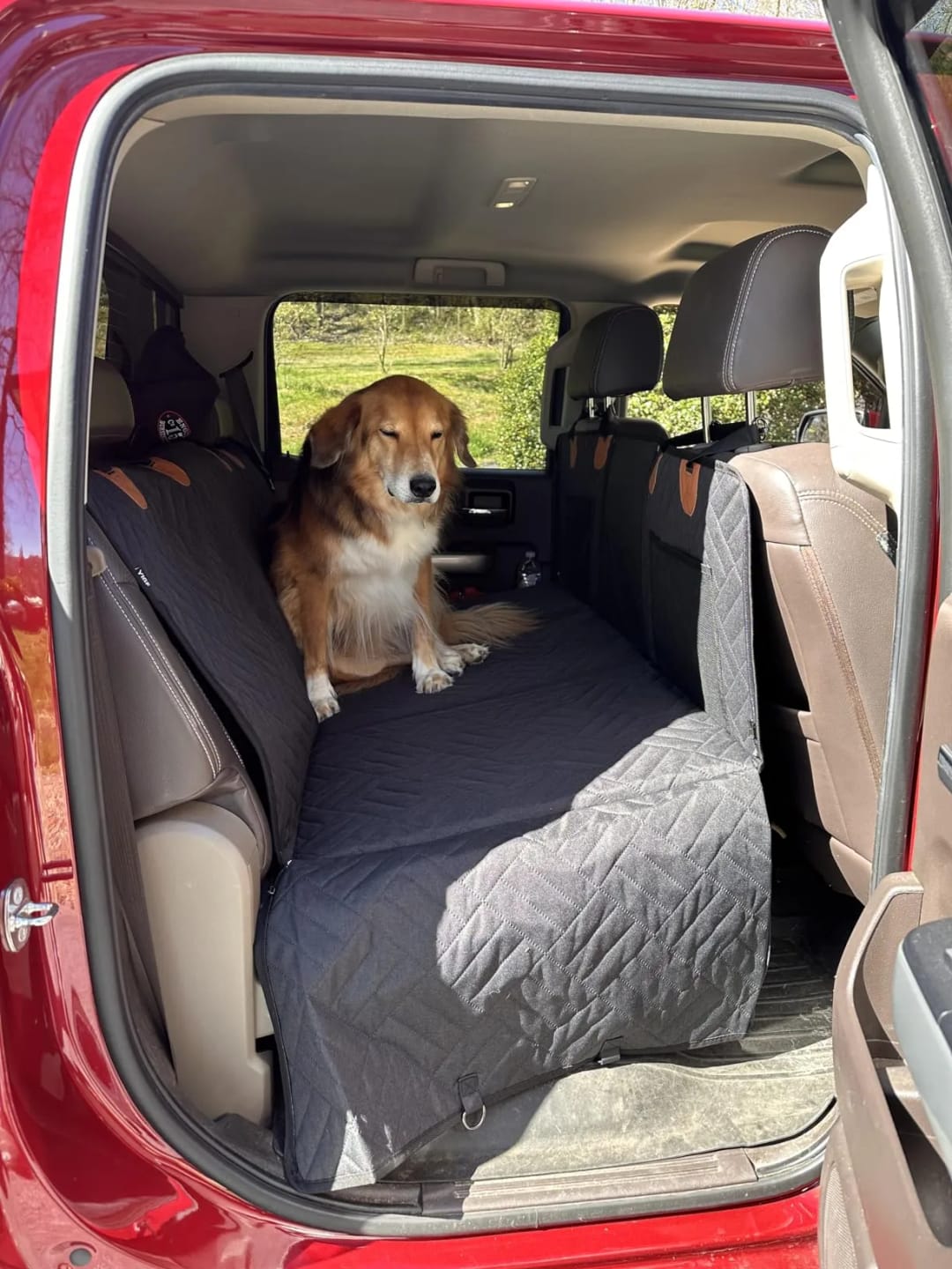 Customer photo review of Car Seat Cover with Hard Bottom