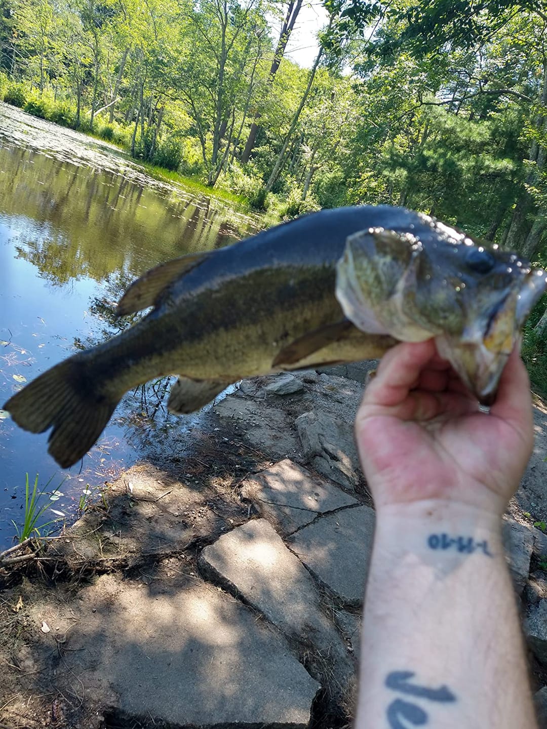Customer photo review of Swimmax Fishing Lure | Eight-Segmented | BKK Hook |  Easy Catch | Rattling with Noise | Heavy-Duty Dyneema Fiber Joint | Jointed Swimbait for Bass & Trout & Crappie