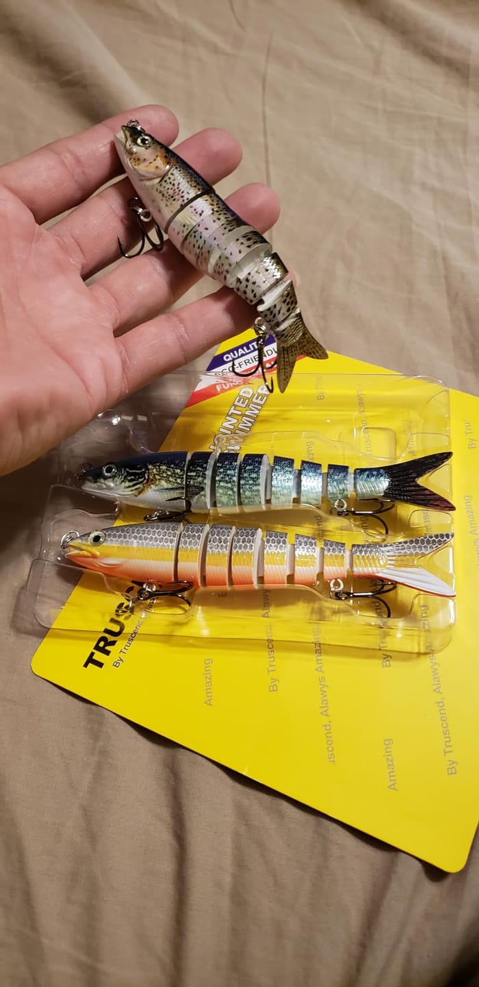 Customer photo review of Swimmax Fishing Lure | Eight-Segmented | BKK Hook |  Easy Catch | Rattling with Noise | Heavy-Duty Dyneema Fiber Joint | Jointed Swimbait for Bass & Trout & Crappie