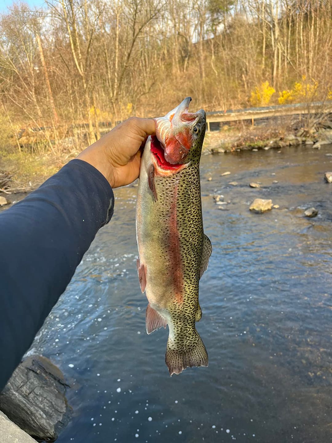 Customer photo review of Swimmax Fishing Lure | Eight-Segmented | BKK Hook |  Easy Catch | Rattling with Noise | Heavy-Duty Dyneema Fiber Joint | Jointed Swimbait for Bass & Trout & Crappie