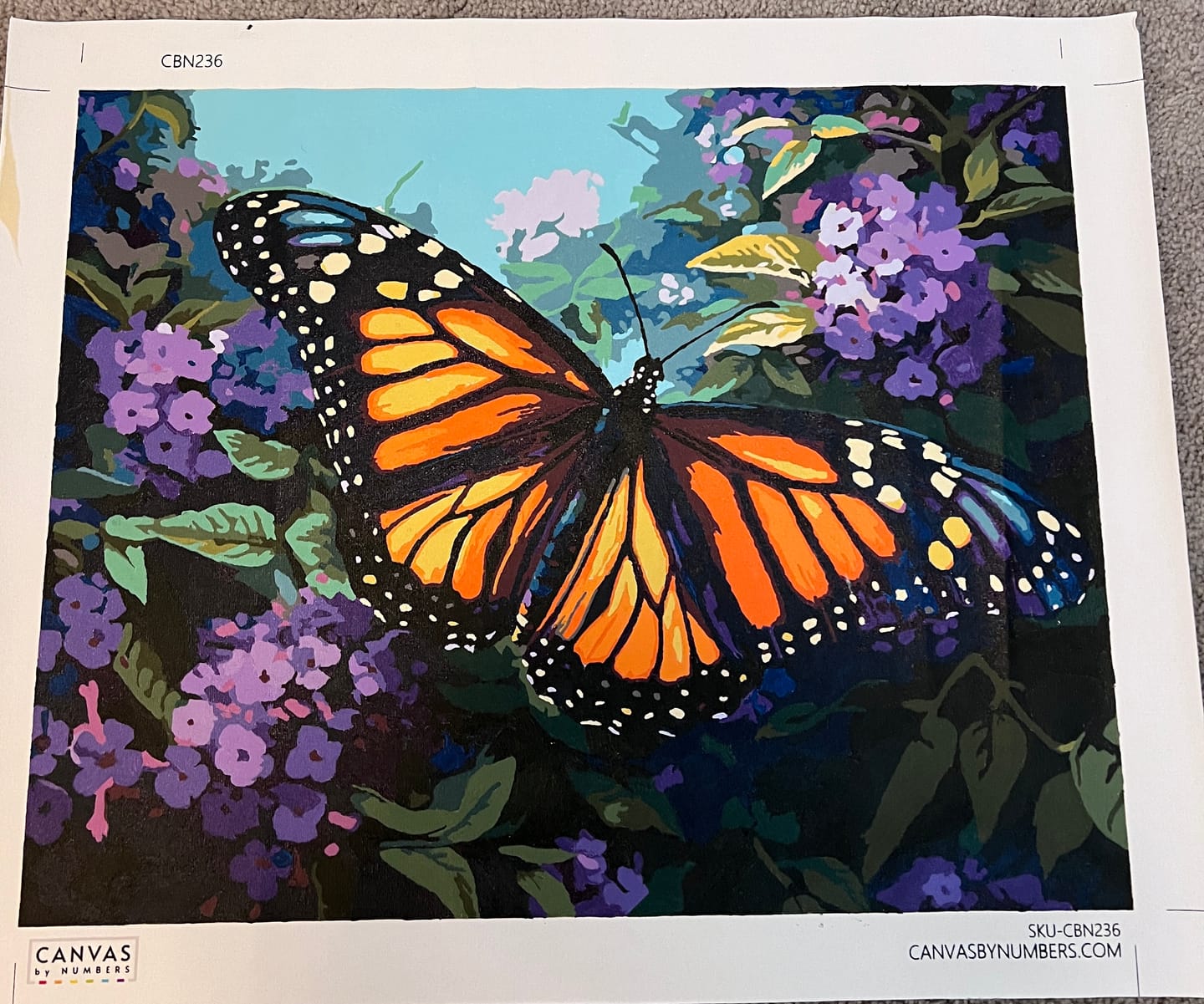 Customer photo review of Monarch Butterfly Painting - Paint by Numbers