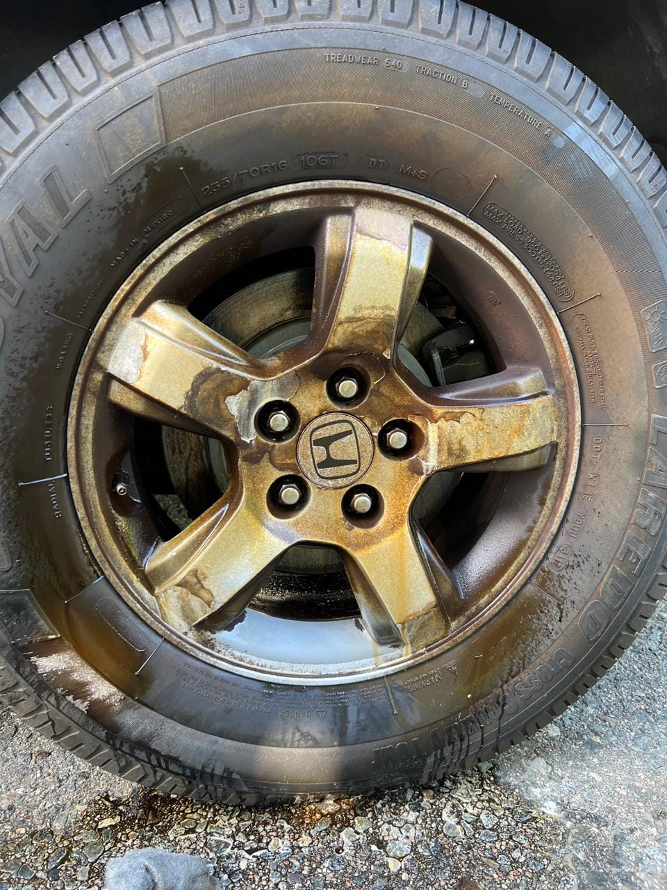 Customer photo review of Bronze Bomber Non-Acid Wheel Cleaner (32oz)