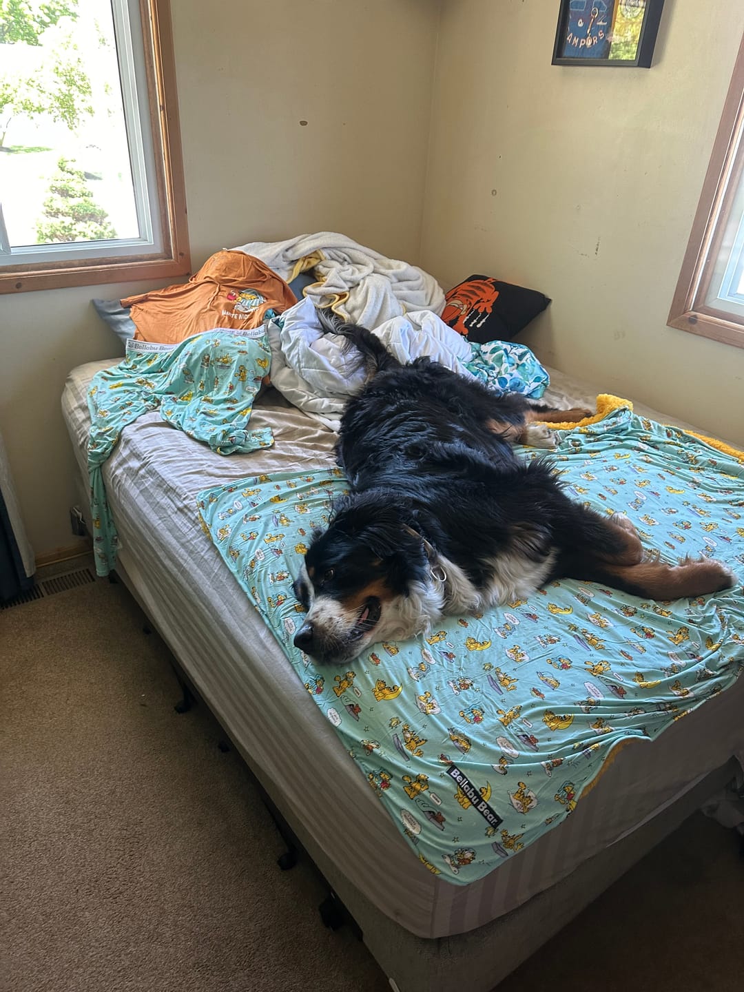 Customer photo review of Garfield: Lazy Mondays Sherpa Blanket