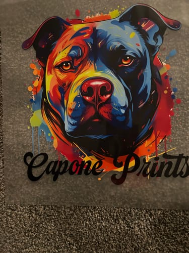 Customer photo review of Custom DTF Gang Sheet