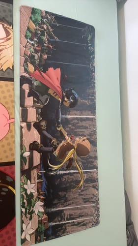 Customer photo review of iD Guardian