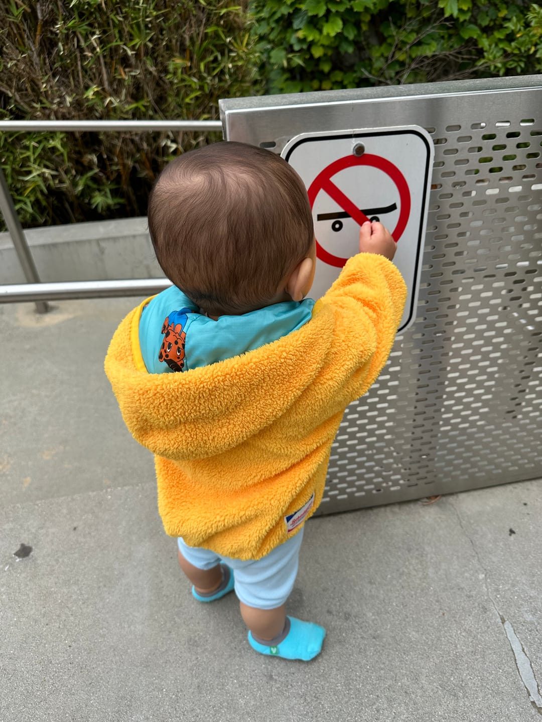 Customer photo review of Non-Slip Baby Socks | Color Me Happy 10-Pack