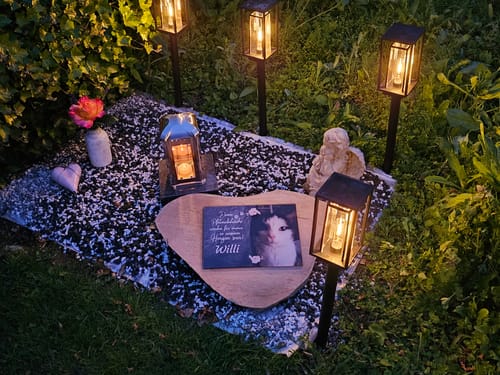 Customer photo review of Katzen Gedenktafel mit Foto & Spruch (UV- & Wetterfest)
