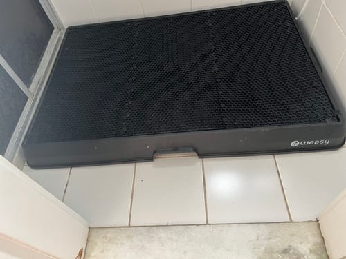 Customer photo review of Weasy Cão