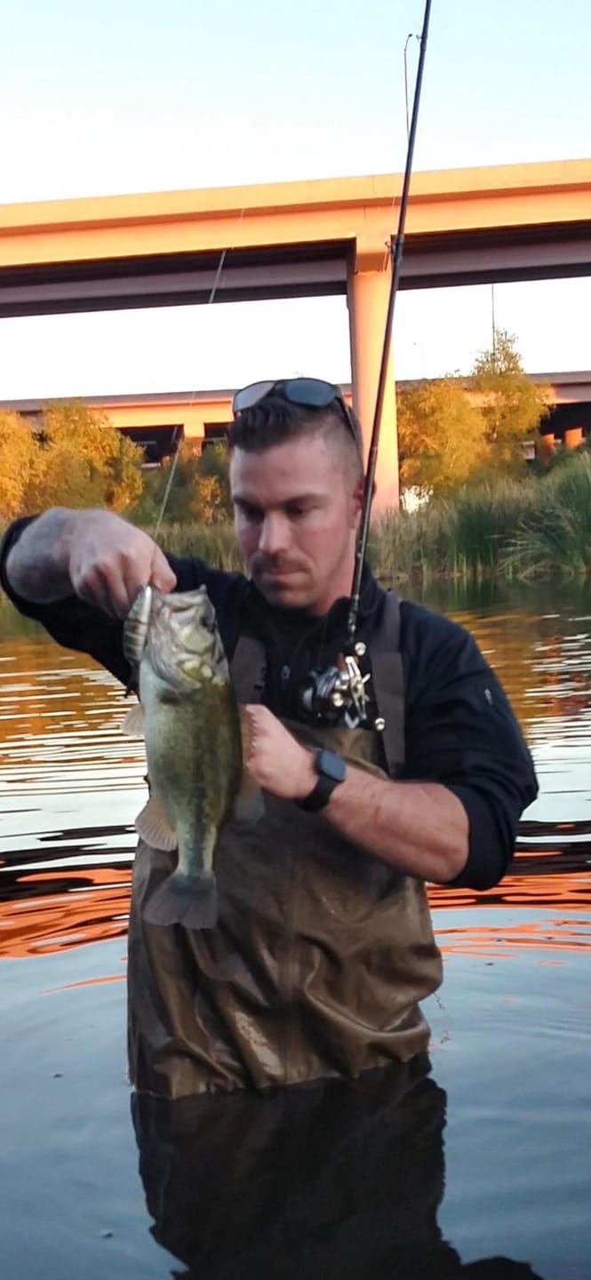 Customer photo review of Swimmax Fishing Lure | Eight-Segmented | BKK Hook |  Easy Catch | Rattling with Noise | Heavy-Duty Dyneema Fiber Joint | Jointed Swimbait for Bass & Trout & Crappie