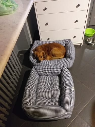 Customer photo review of Divanetto Cotone Vichy Navy