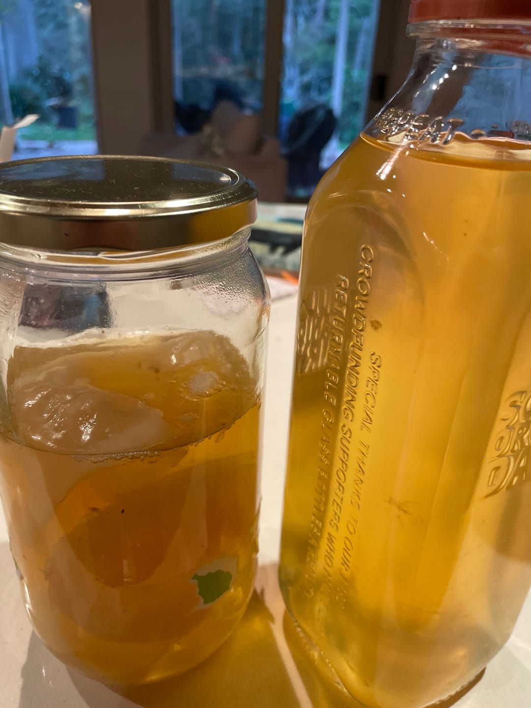 Customer photo review of Kombucha SCOBY