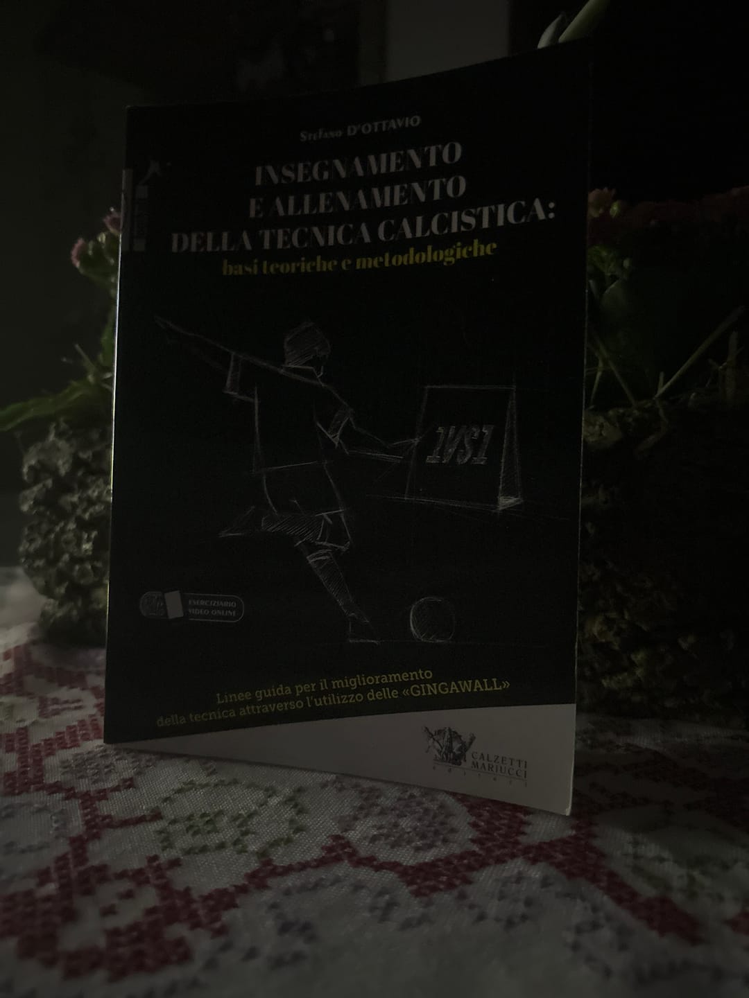 Customer photo review of 1VS1 Book