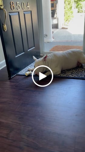 Customer video review of Beef Cheek Rolls