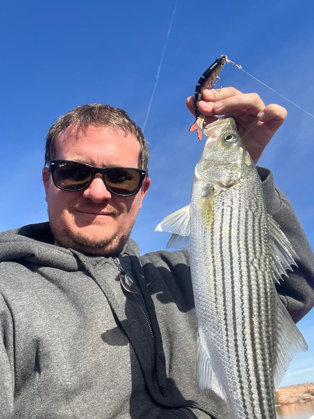 Customer photo review of Swimmax Fishing Lure | Eight-Segmented | BKK Hook |  Easy Catch | Rattling with Noise | Heavy-Duty Dyneema Fiber Joint | Jointed Swimbait for Bass & Trout & Crappie