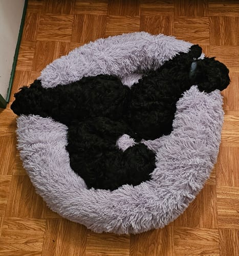 Customer photo review of CalmBed - Motverkar stress & hjälper mot ångest