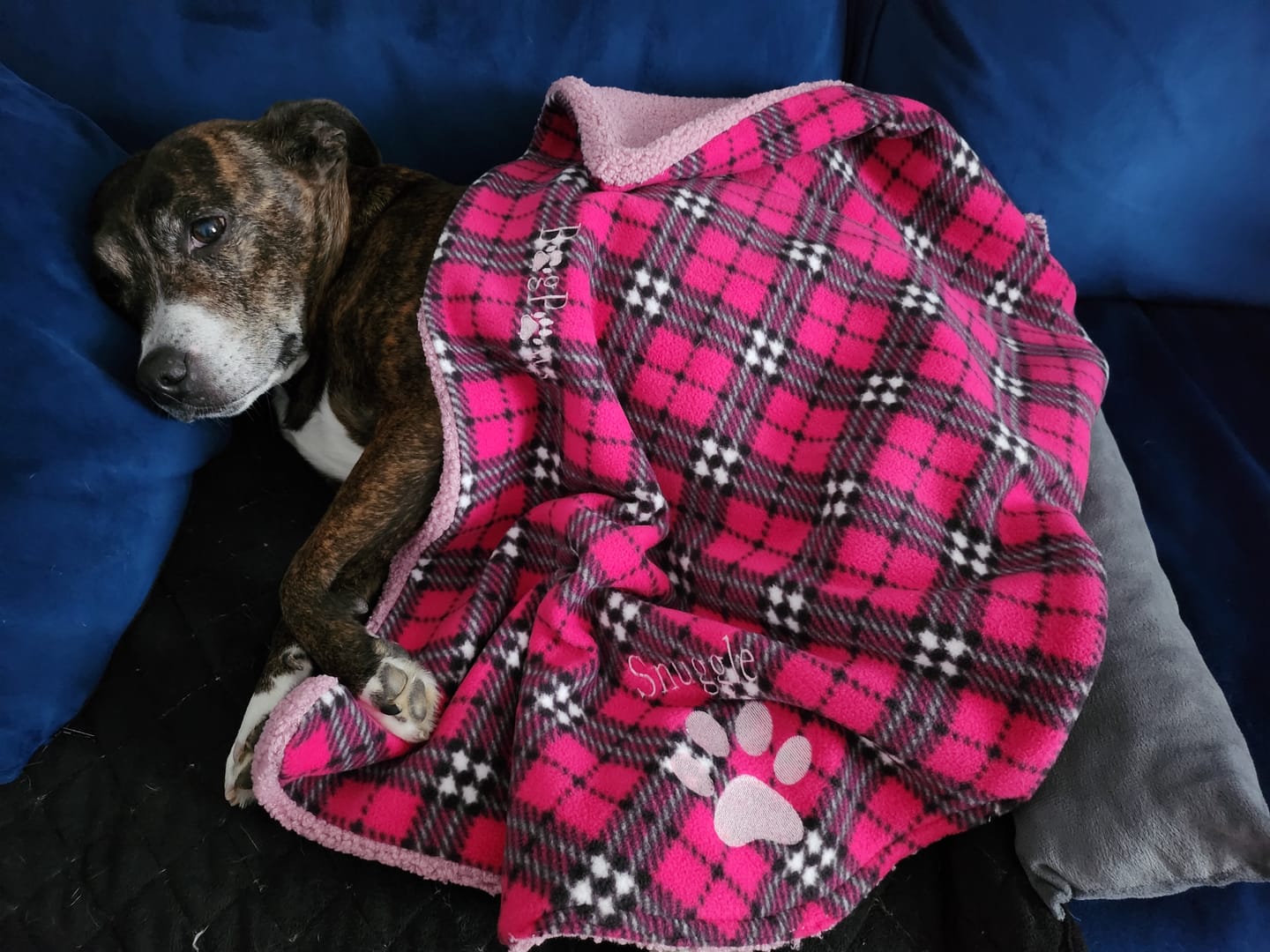 Customer photo review of Pink Checkered Anti Pill Polar Fleece Fabric