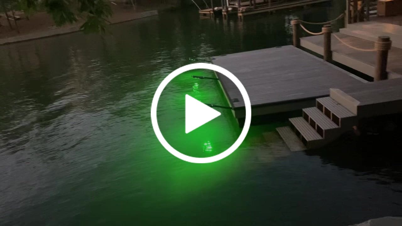 Customer video review of Solar Green Light for Hunting Hogs Deer,Fish light -15,000lumens