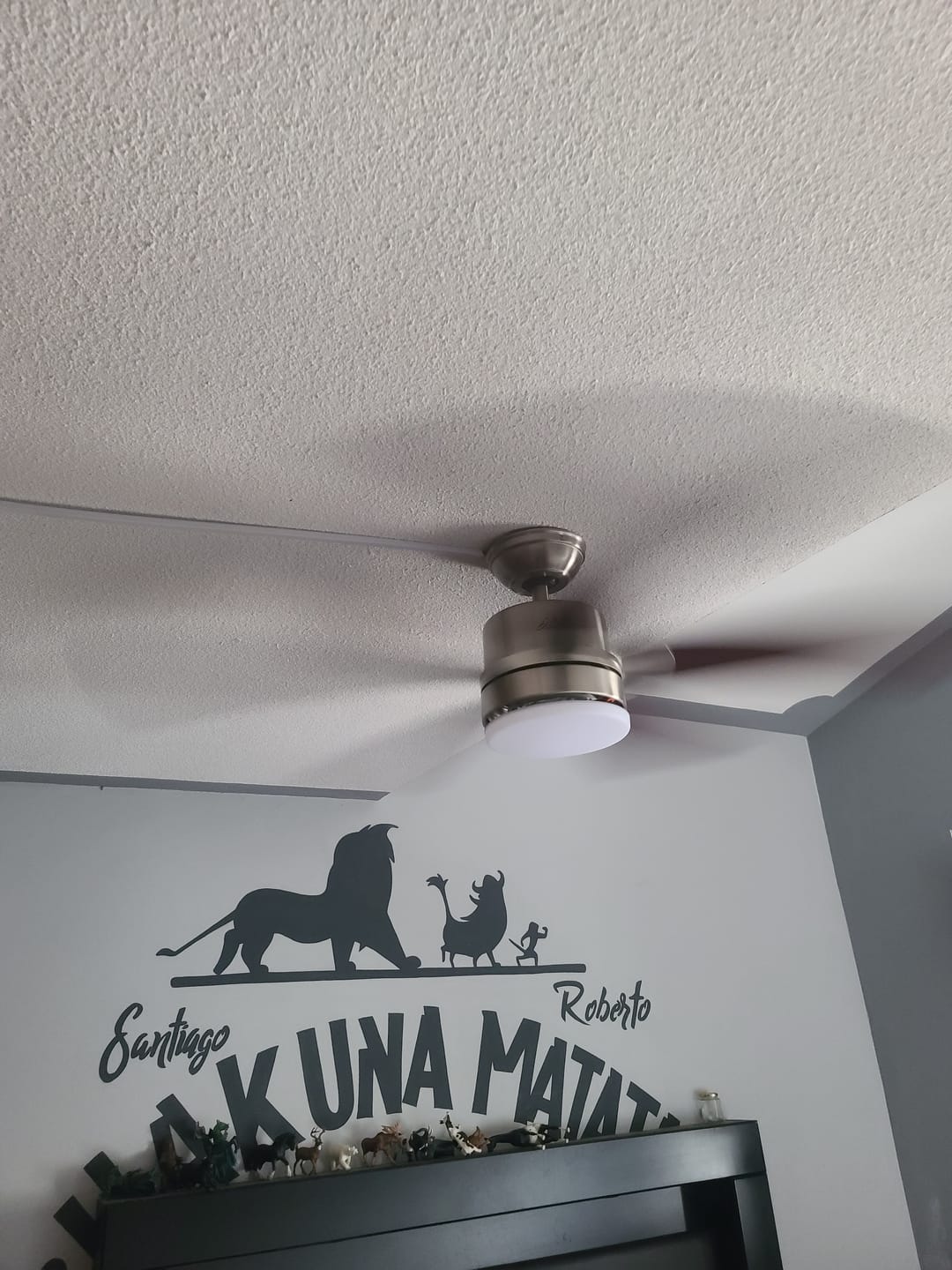 Customer photo review of Ventilador de Techo Windemere con Luz 54 Pulgadas
