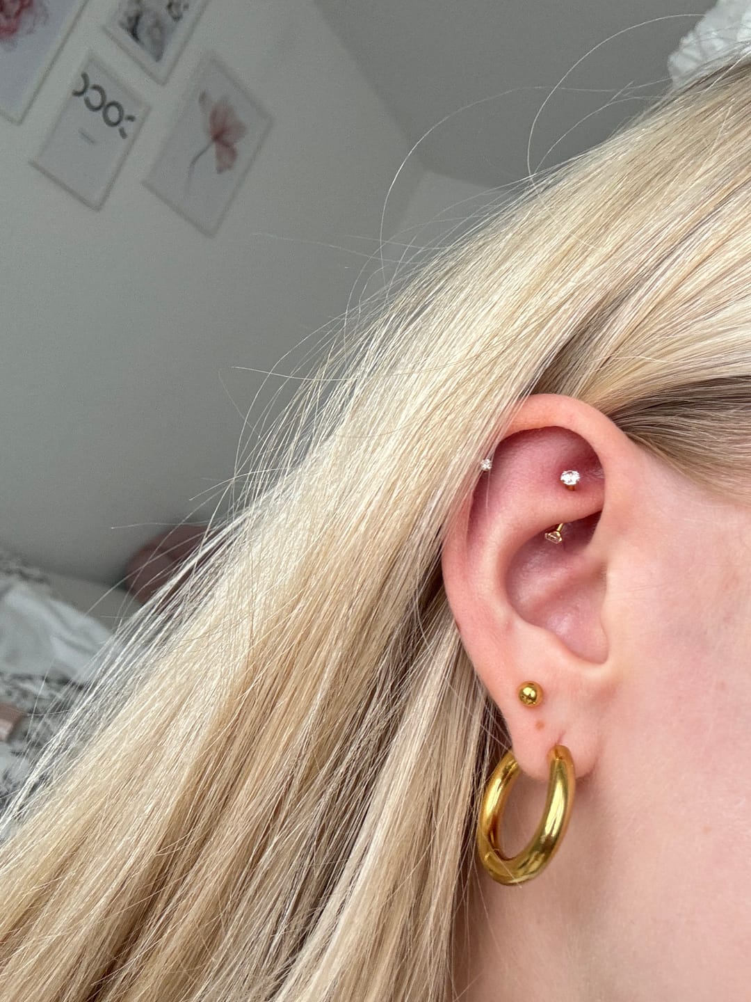 Customer photo review of Britney Rook Piercing | Titan