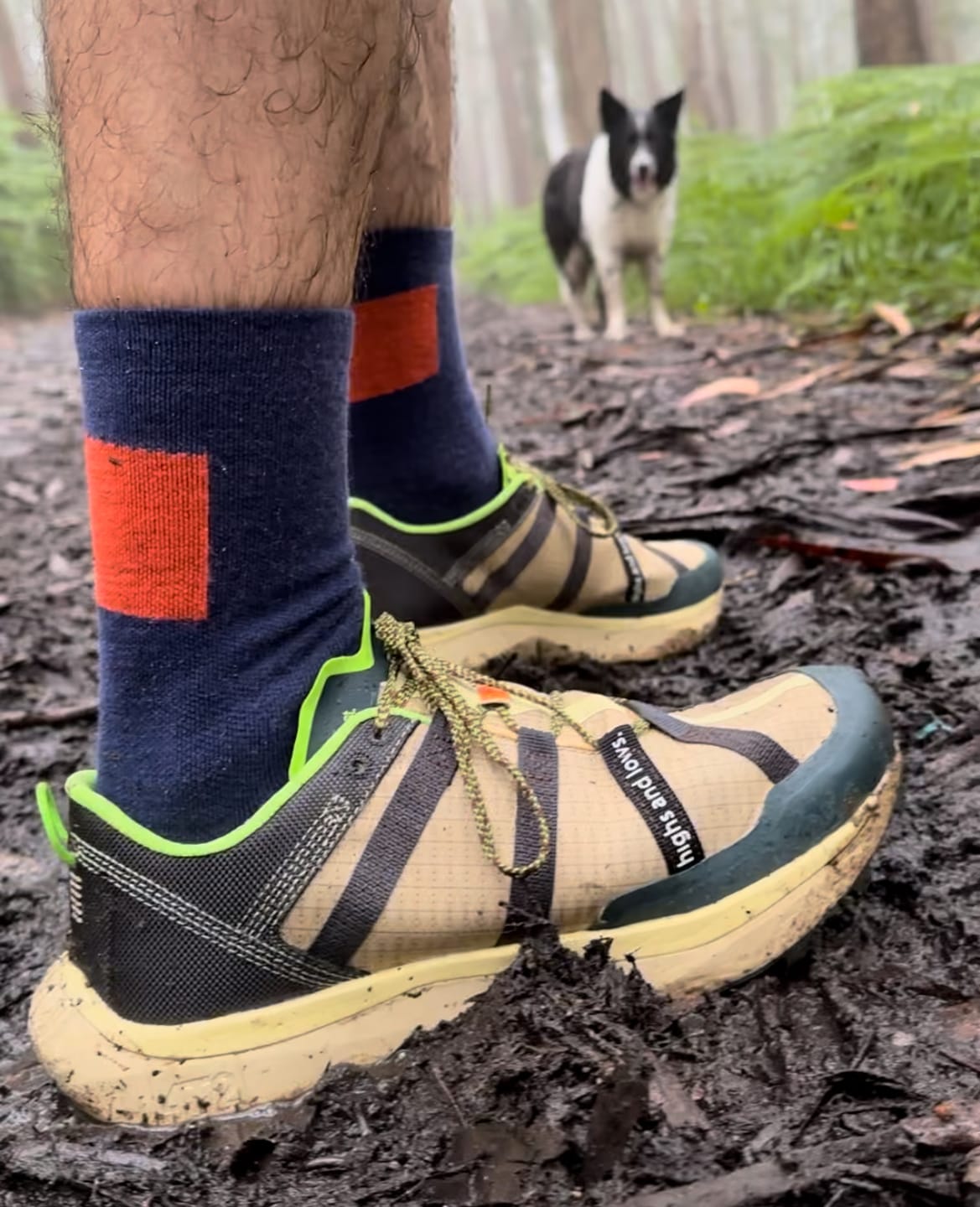 Customer photo review of get lost.