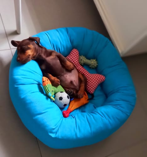 Customer photo review of Cuccia Tonda Cotone Siena