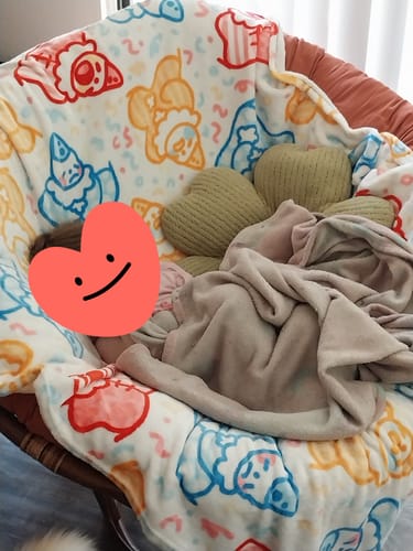 Customer photo review of Cute Lil Clowns Throw Blanket