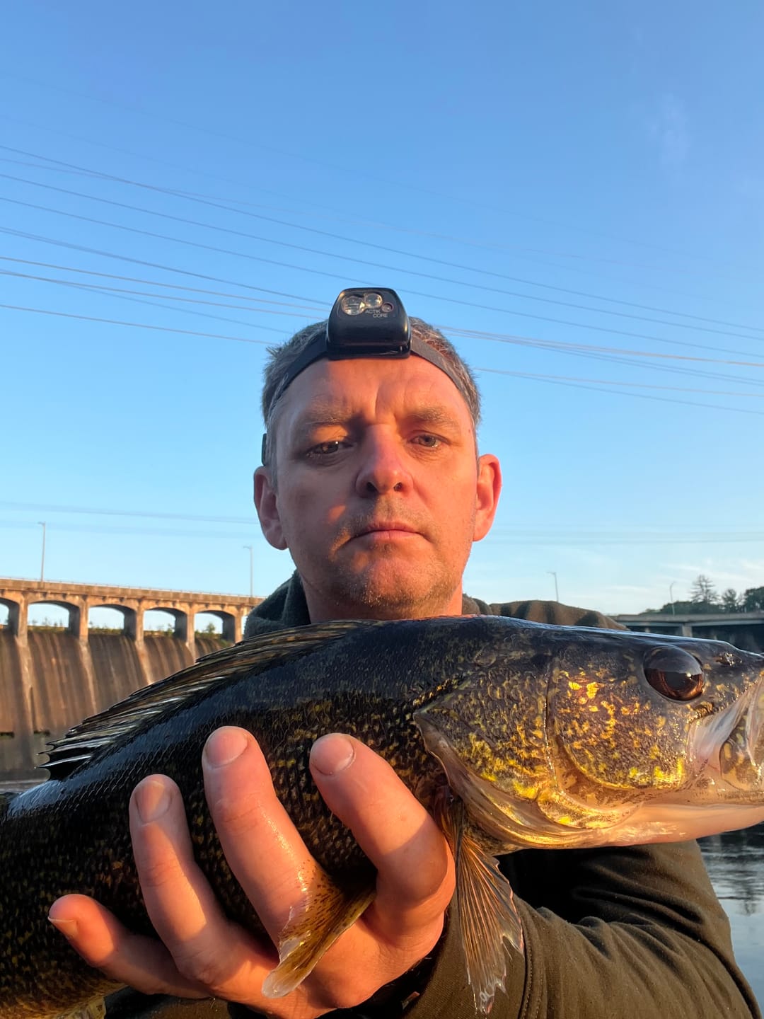 Customer photo review of 200% Sensitive Tungsten Ball Jig Heads Damiki Rig Jig Heads | No Chip Black | 5 Pack