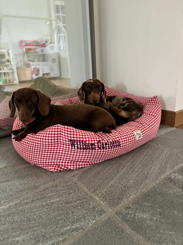 Customer photo review of Divanetto Cotone Vichy Rosso