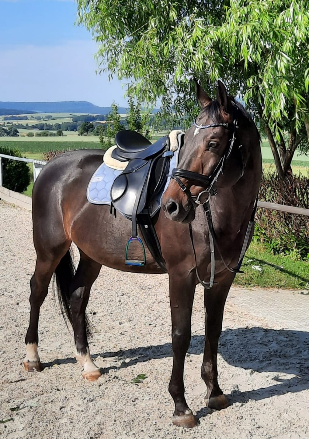 Customer photo review of Kristallkraft Mental Balance