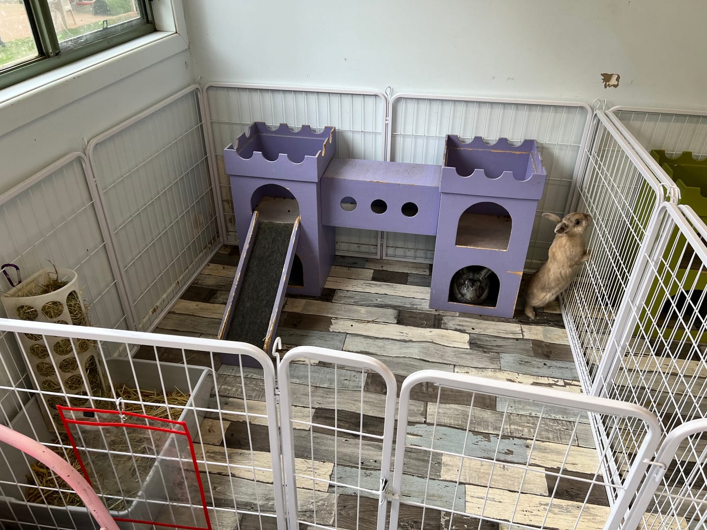 Customer photo review of PaWz 8 Panel Playpen White