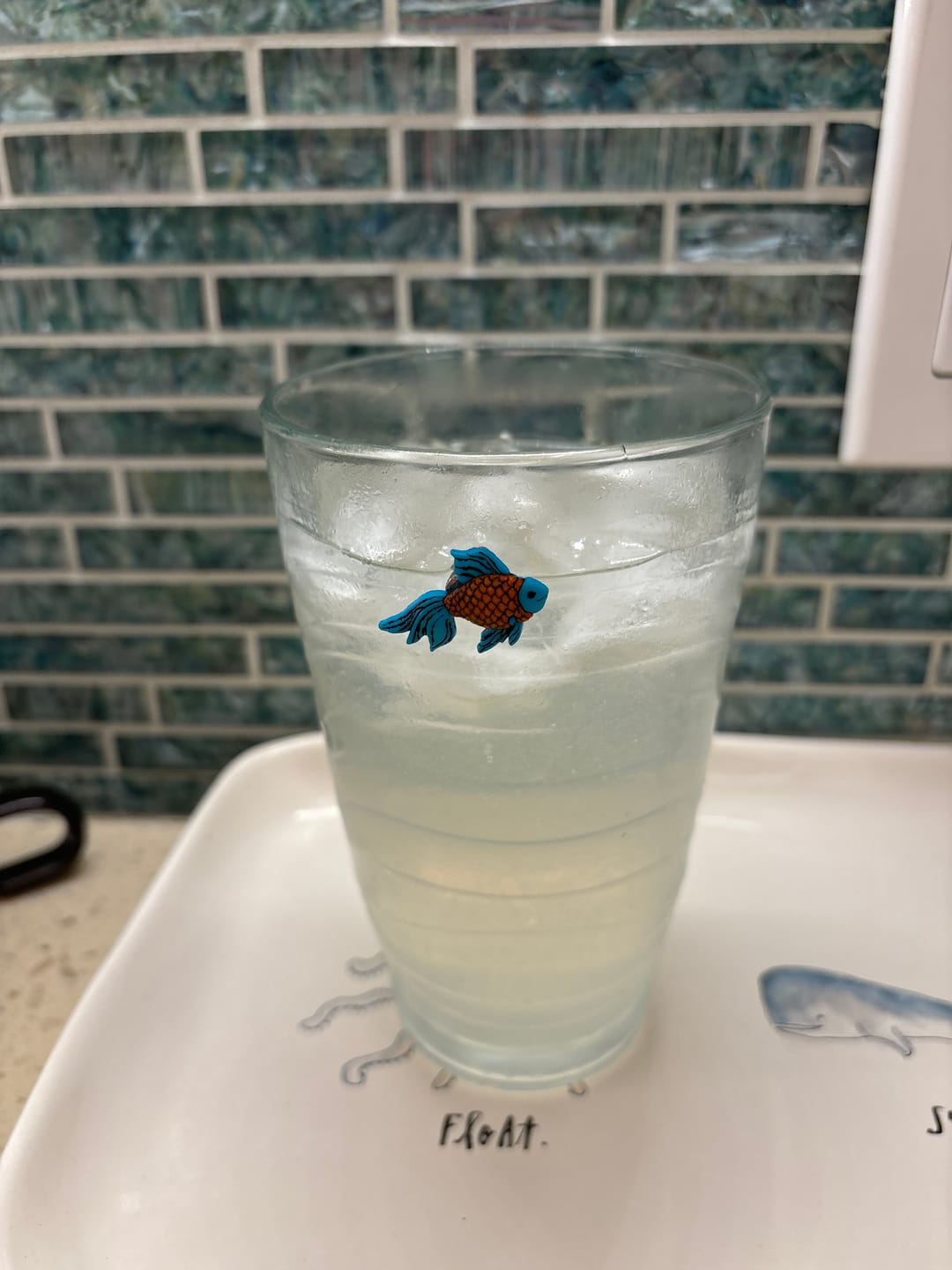 Customer photo review of Fun in the Sun